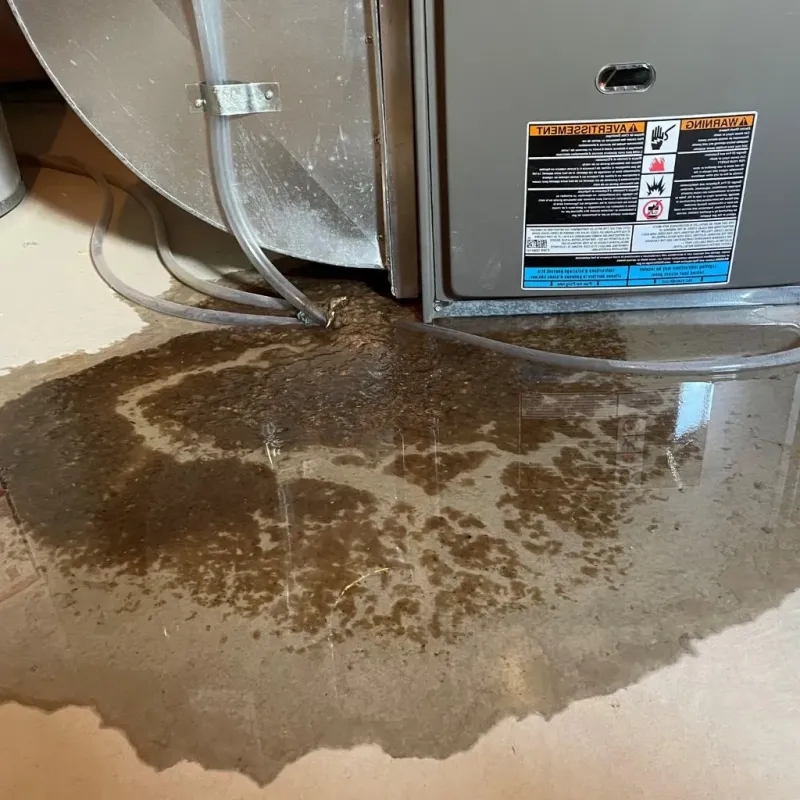 Pipe Burst and Leak Restoration in Ashland, KY