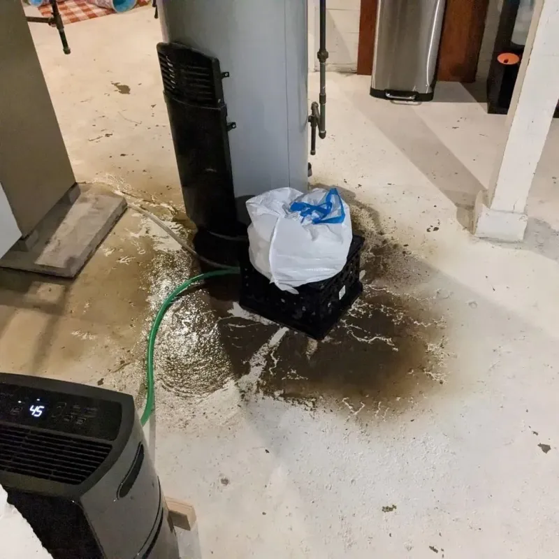 Sewage Backup Cleanup Service in Ashland, KY